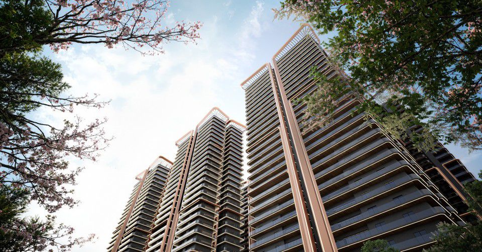 PHOTO-2025-11-01-10-52-10[1]